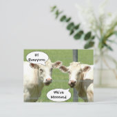 Postale Faire-part Présentation des vaches Changement d'adresse Carte (Debout devant)