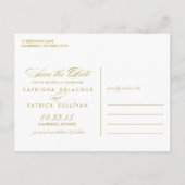 Postale Faire-part Stripes classiques Mint Enregistrer la carte posta (Dos)