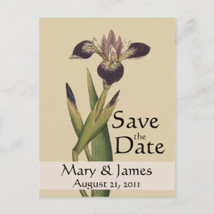 Postale Faire-part Vintage Botanical Iris Enregistrer la date Carte p