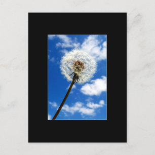 Postale Faites une carte de commerce d'art ACEO de souhait