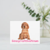 Postale Félicitations Cocker Spaniel Puppy Chien Carte Pos (Debout devant)