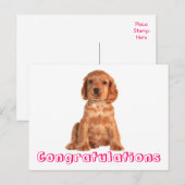 Postale Félicitations Cocker Spaniel Puppy Chien Carte Pos (Devant / Derrière)