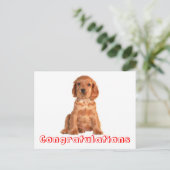 Postale Félicitations Cocker Spaniel Puppy Chien Carte Pos (Debout devant)