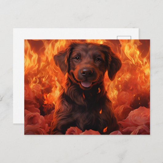 Postale Feu Fleuri Briefkaart (Voorkant / Achterkant)