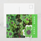 Postale Feuille de fermeture à quatre feuilles et carte po (Devant / Derrière)