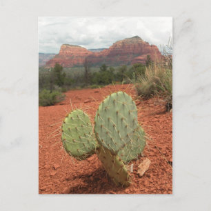 Postale Figuier de barbarie dans Sedona, Arizona - carte