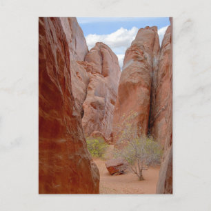 Postale Fins, Parc National Des Arches, Utah, Carte Postal