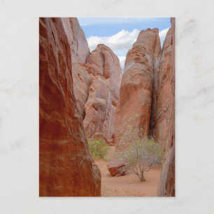 Postale Fins, Parc National Des Arches, Utah, Carte Postal