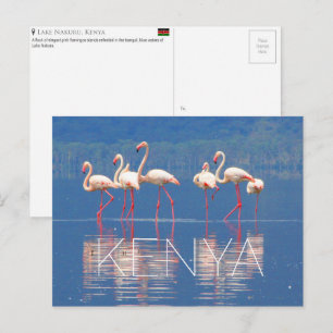 Postale Flamants roses dans le lac Nakuru, Kenya Carte pos