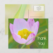 Postale fleur de tulipe merci carte blanche (Devant / Derrière)