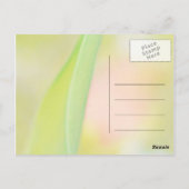 Postale fleur de tulipe merci carte blanche (Dos)