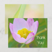 Postale fleur de tulipe merci carte blanche (Devant / Derrière)