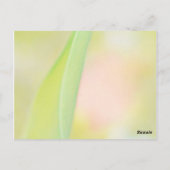 Postale fleur de tulipe merci carte blanche (Dos)