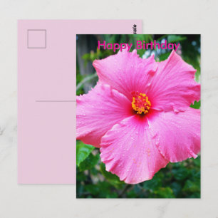 Postale Fleur d'Hibiscus Rose Gouttes de Pluie, Carte d'An