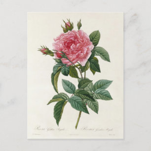 Postale Fleurs 11-kaart Briefkaart