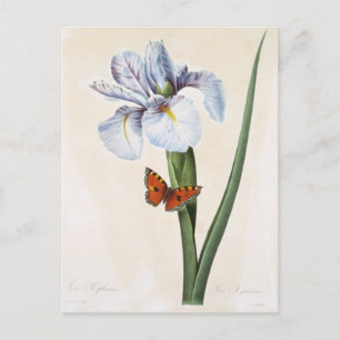 Postale Fleurs 8 Briefkaart