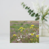Postale Fleurs jaunes et blanches do-it-yourself carte pos (Debout devant)