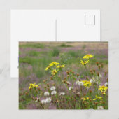 Postale Fleurs jaunes et blanches do-it-yourself carte pos (Devant / Derrière)