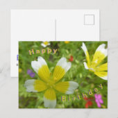 Postale Fleurs sauvages : Carte d'anniversaire jaune blanc (Devant / Derrière)