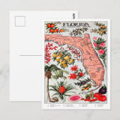 Postale Floride - Carte de l'État des Everglade (Devant / Derrière)