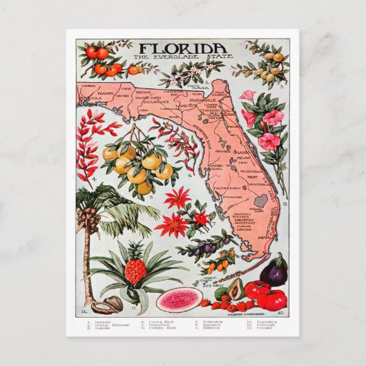 Postale Floride - Carte de l'État des Everglade (Devant)
