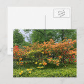 Postale Flower Trees of Halifax Nouvelle-Écosse Carte post (Devant / Derrière)