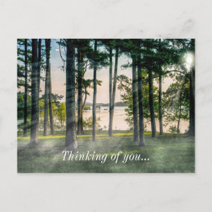 Postale Foggy Trees À Table Rock Penser À Vous Carte Posta