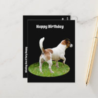 Fox Terrier en service de garde, Carte de vœux d'a