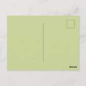 Postale Ft Myers Floride carte ancienne (Dos)