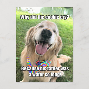 Postale Funny Golden Retriever Cookie Joke Mème carte post