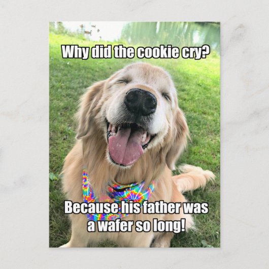 Postale Funny Golden Retriever Cookie Joke Mème carte post (Devant)