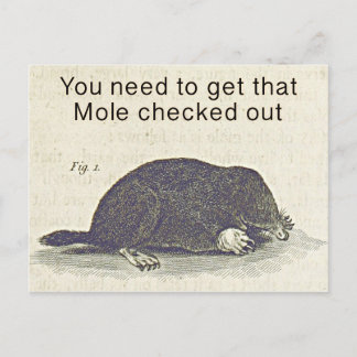 Postale Funny Mole Carte de voeux, Humour d'anniversaire a