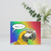 Postale Funny Talking Parrot Arc-en-ciel Bonjour carte pos (Debout devant)