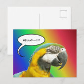 Postale Funny Talking Parrot Arc-en-ciel Bonjour carte pos (Devant / Derrière)