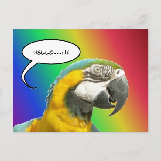 Postale Funny Talking Parrot Arc-en-ciel Bonjour carte pos (Devant)