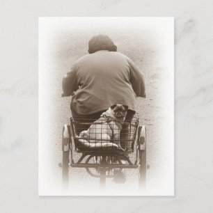 Postale Garçon Et Chien Carlin Se Rendre À Une Carte Posta