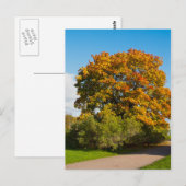 Postale Garden Maple, Saint-Pétersbourg Russie Carte posta (Devant / Derrière)