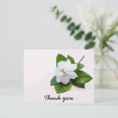 Postale Gardenia fleurs Sympathy Merci Carte à plat (Debout devant)