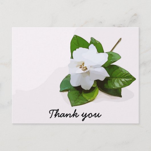 Postale Gardenia fleurs Sympathy Merci Carte à plat (Devant)
