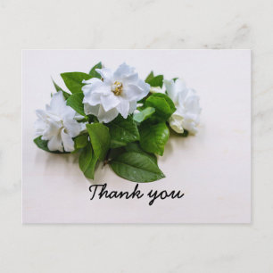 Postale Gardenia fleurs Sympathy Merci Carte à plat