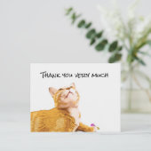 Postale Ginger Cat Carte de remerciements cat cherche (Debout devant)