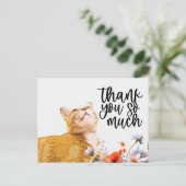 Postale Ginger Cat Carte de remerciements cat cherche (Debout devant)