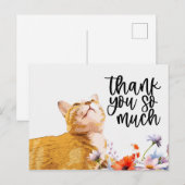 Postale Ginger Cat Carte de remerciements cat cherche (Devant / Derrière)