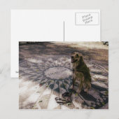 Postale Golden in Strawberry Fields aka "Imagine" Carte po (Devant / Derrière)