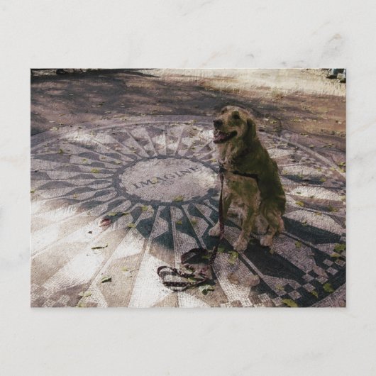 Postale Golden in Strawberry Fields aka "Imagine" Carte po (Devant)