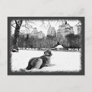 Postale Golden par Conservatory Water-Central Park Carte p