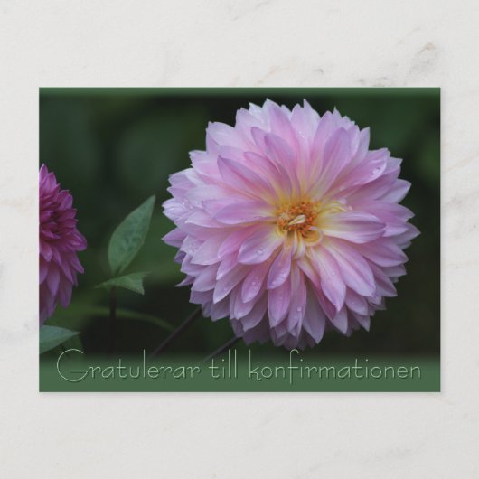 Postale Gratulerar till konfirmationen CC0503 Carte postal (Devant)
