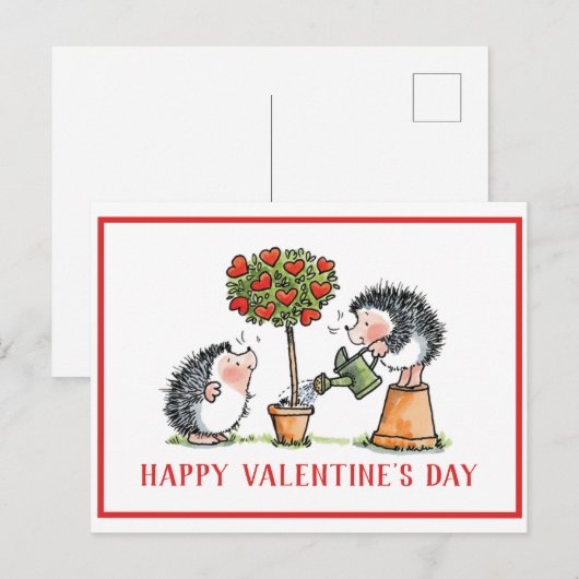 Postale Hérisson de rêve Carte Saint-Valentin (Devant / Derrière)