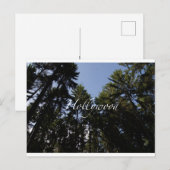 Postale Hollywood - Carte de voeux (Devant / Derrière)