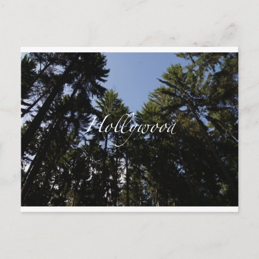 Postale Hollywood - Carte de voeux (Devant)